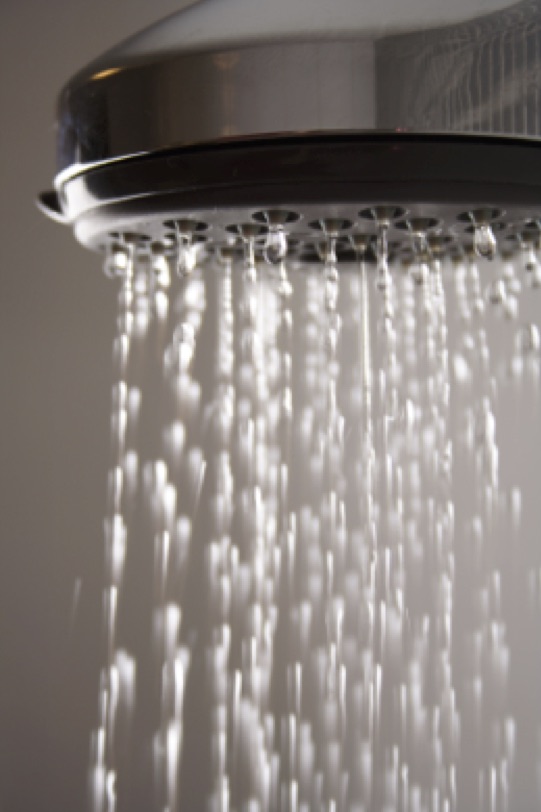 Pomme de douche pour économiser l'eau - Écohabitation