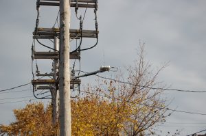 Effets biologiques de l'exposition aux radiations des antennes