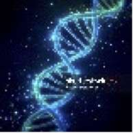 Mécanisme épigénétique de l'électrohypersensibilité