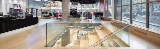 Le mythe du bambou &laquo; trop de CO₂ &raquo; : ce que montrent vraiment les chiffres