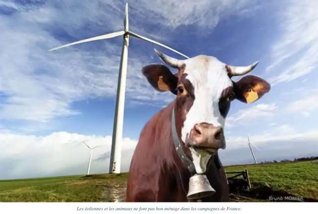 Eoliennes, ésotérisme et enfumage sont les trois mamelles du progrès