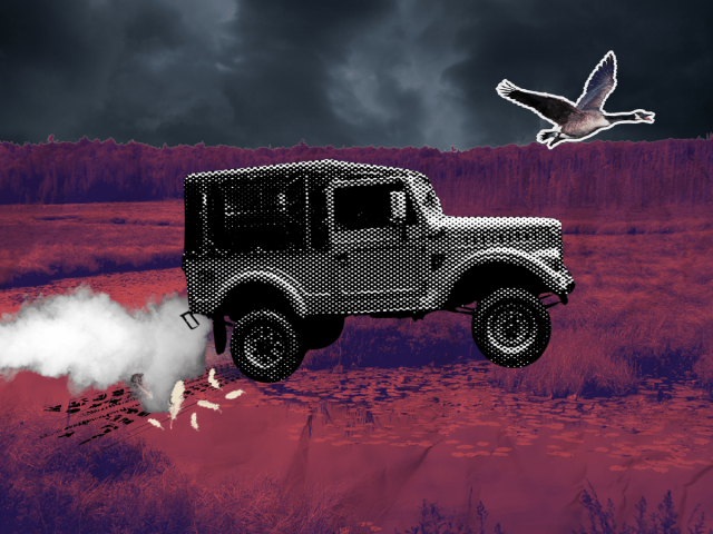 Sauvez un canard, brûlez du pétrole : quand l’industrie fossile finance la conservation de la nature