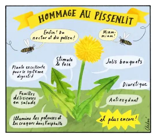 Revue de presse environnementale du 29 mai