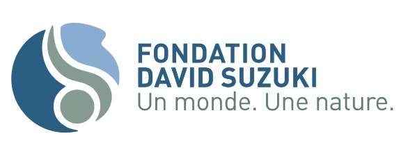 Fondation David Suzuki